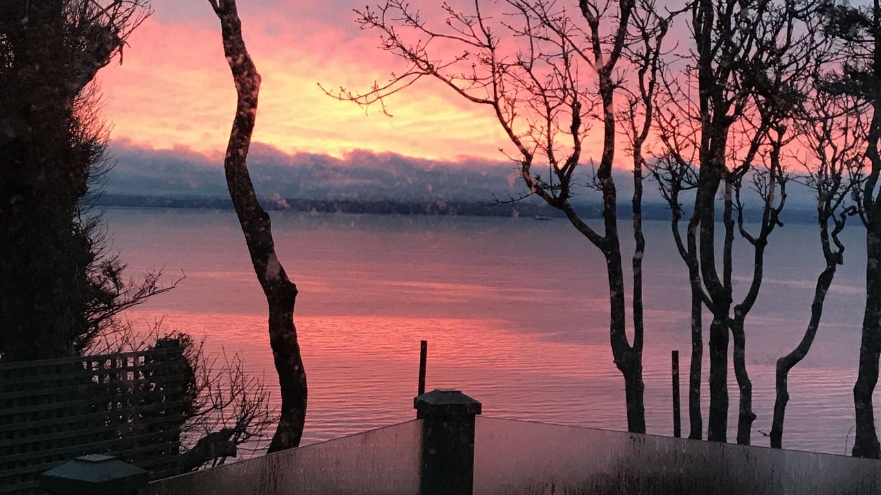 Photo of Others in Comox