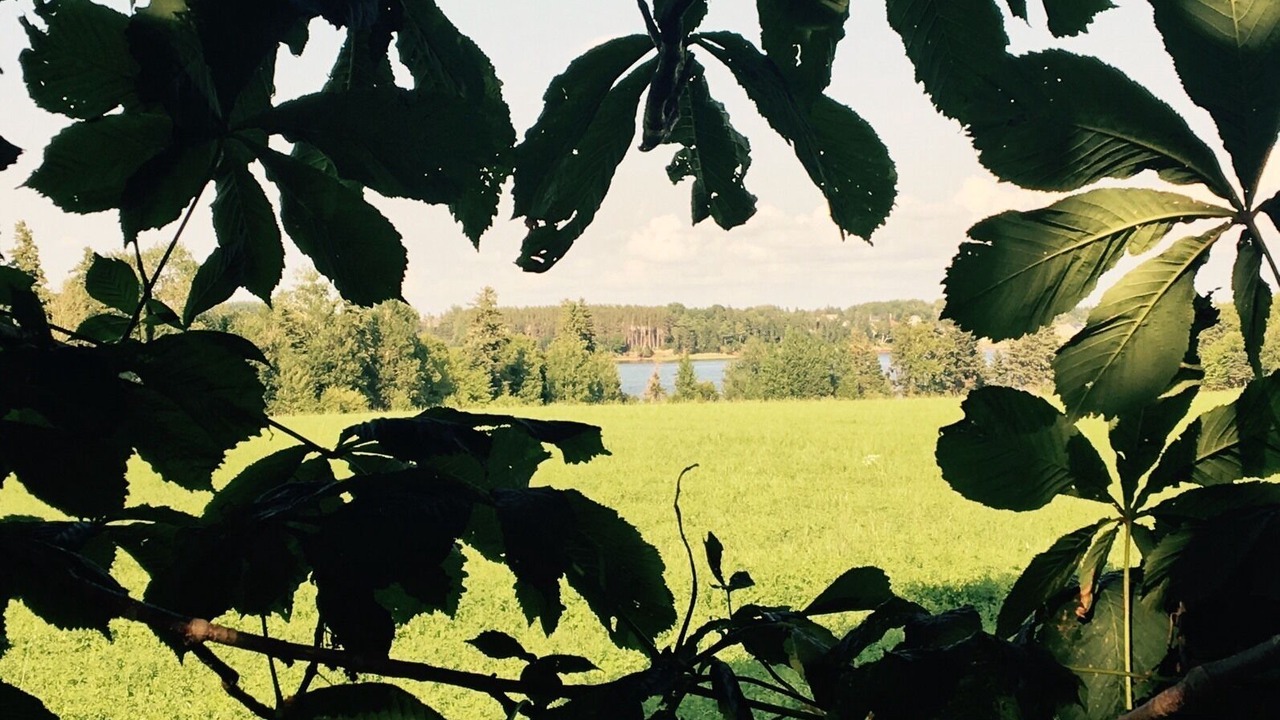 Photo of Outdoor in Meadowbank