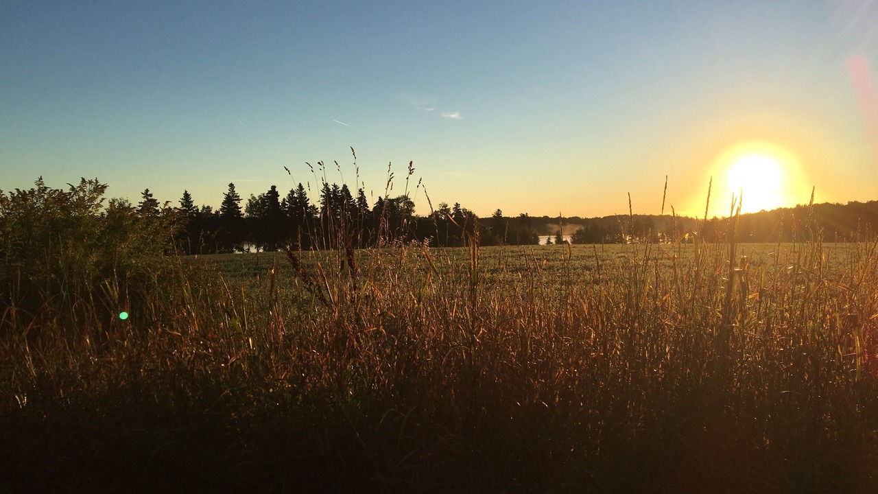 Photo of Outdoor in Meadowbank