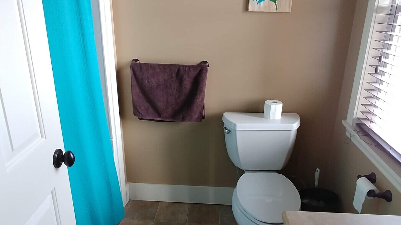 Photo of Bathroom in Meadowbank