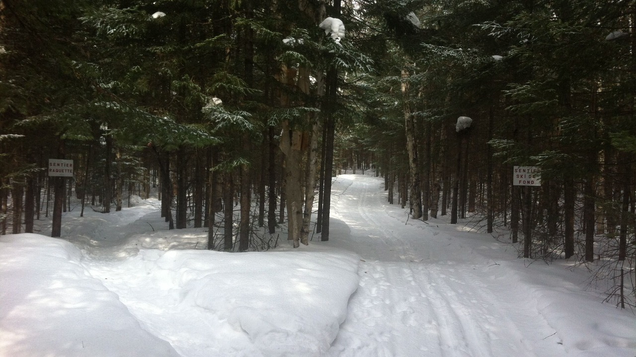 Photo of Outdoor in Saint Zenon