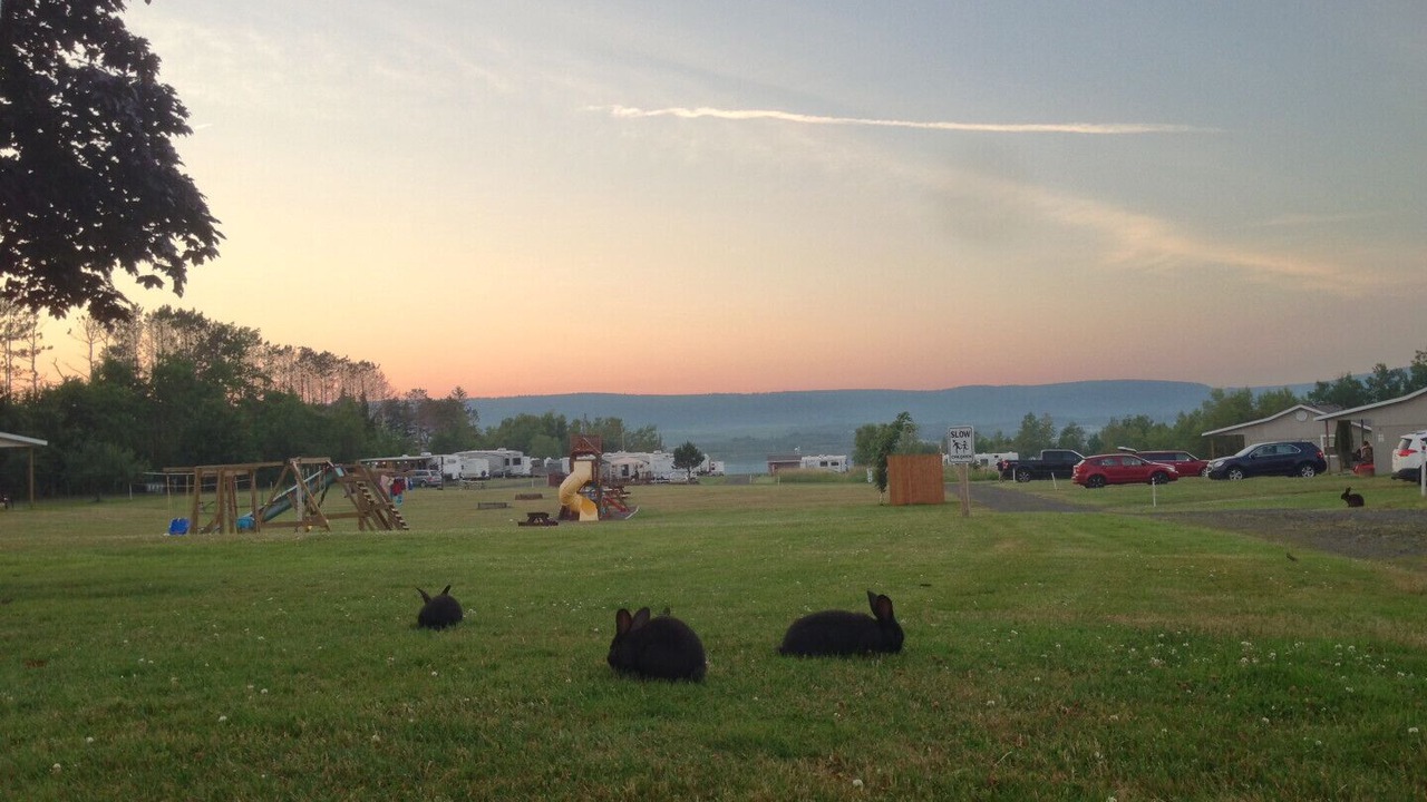 Photo of Others in Annapolis Royal