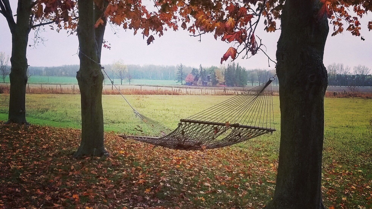 Photo of Outdoor in Clearview