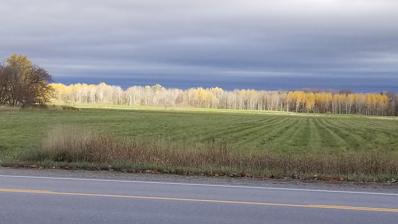 Photo of Outdoor in Clearview