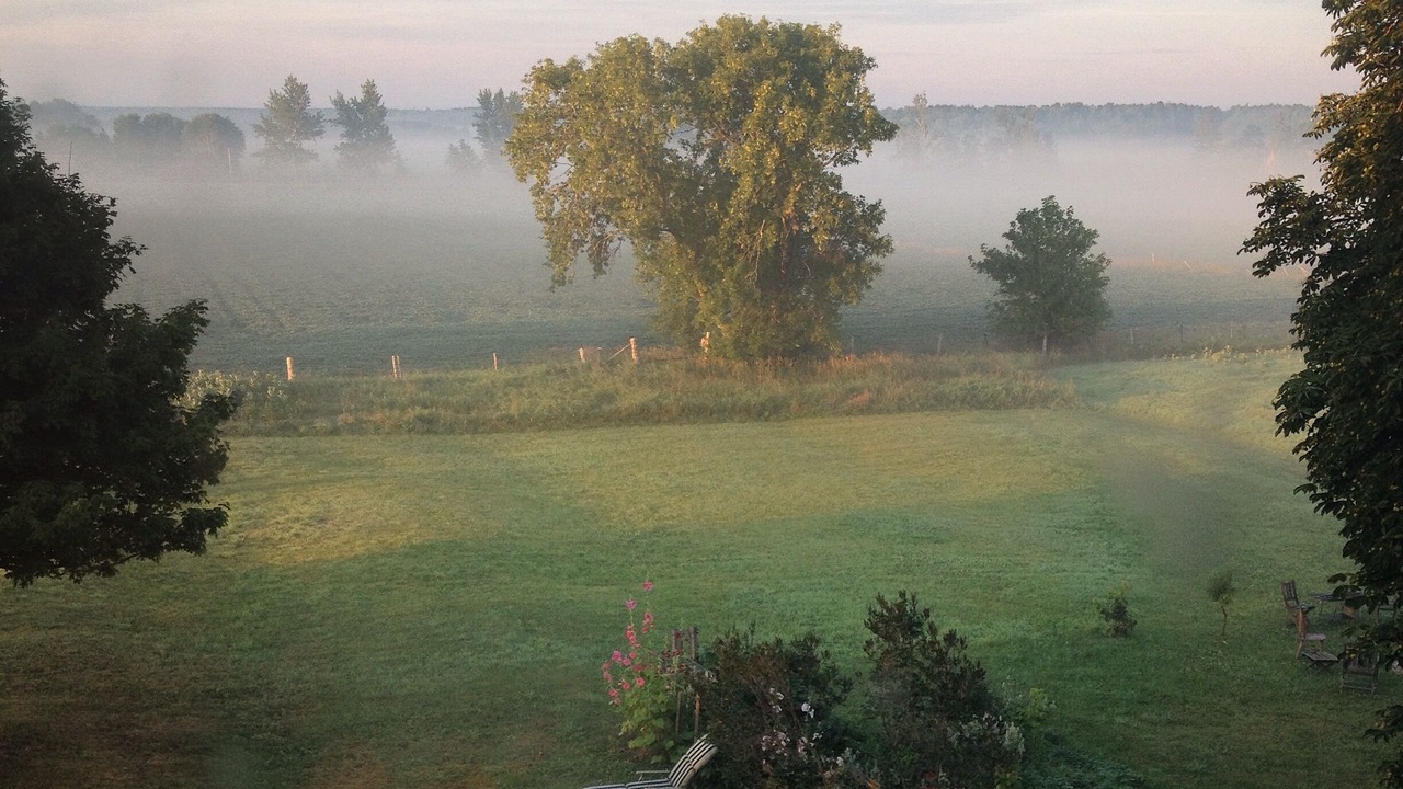 Photo of Outdoor in Clearview