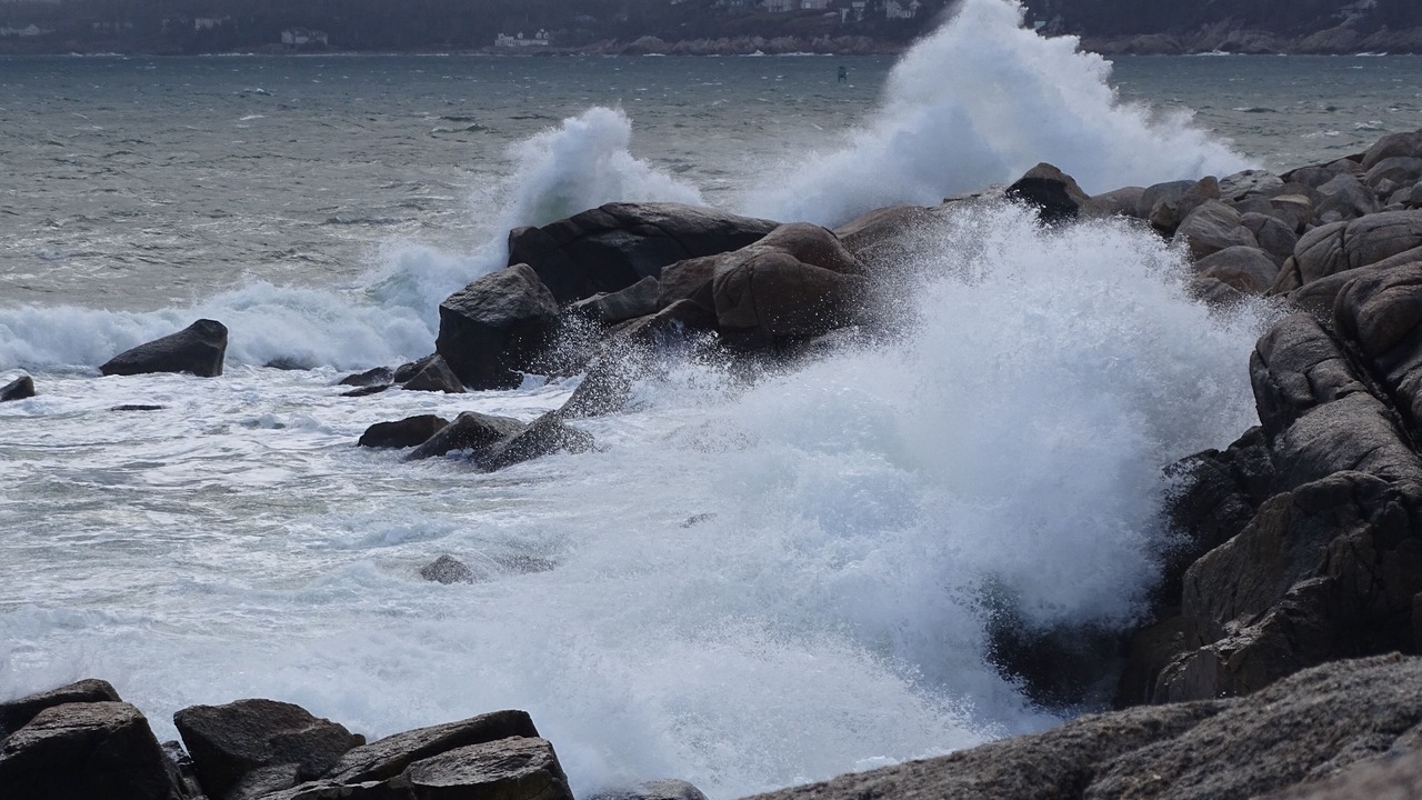 Photo of Others in Herring Cove