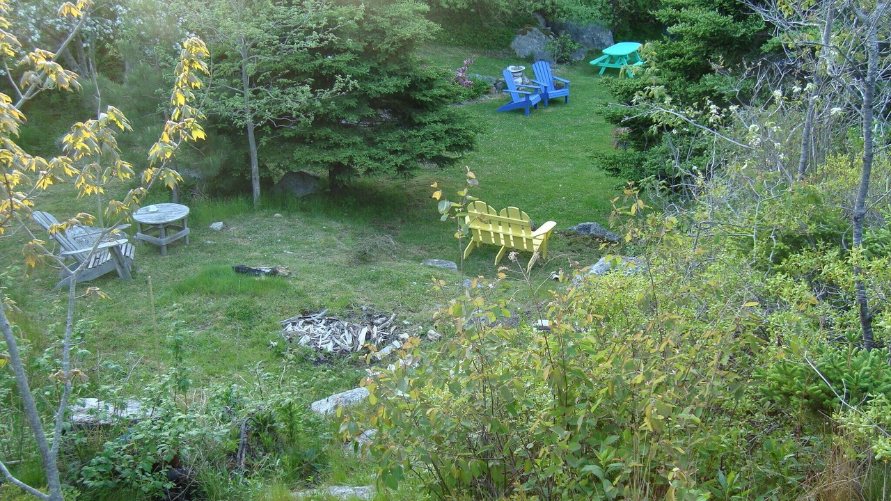 Photo of Others in Herring Cove