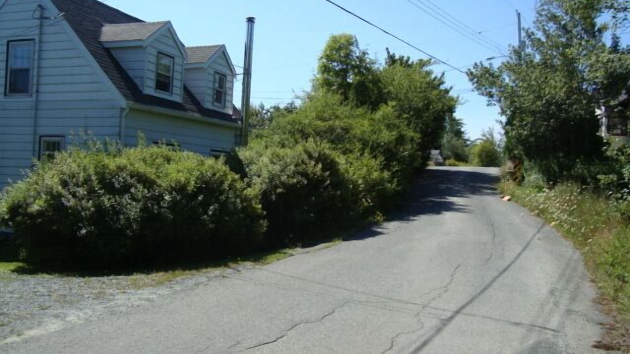 Photo of Others in Herring Cove