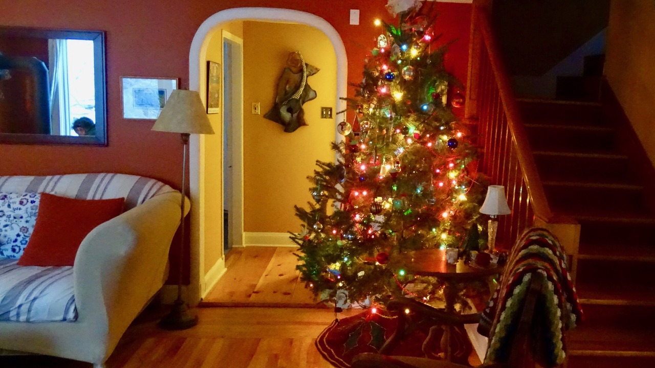 Photo of Bedroom in Herring Cove