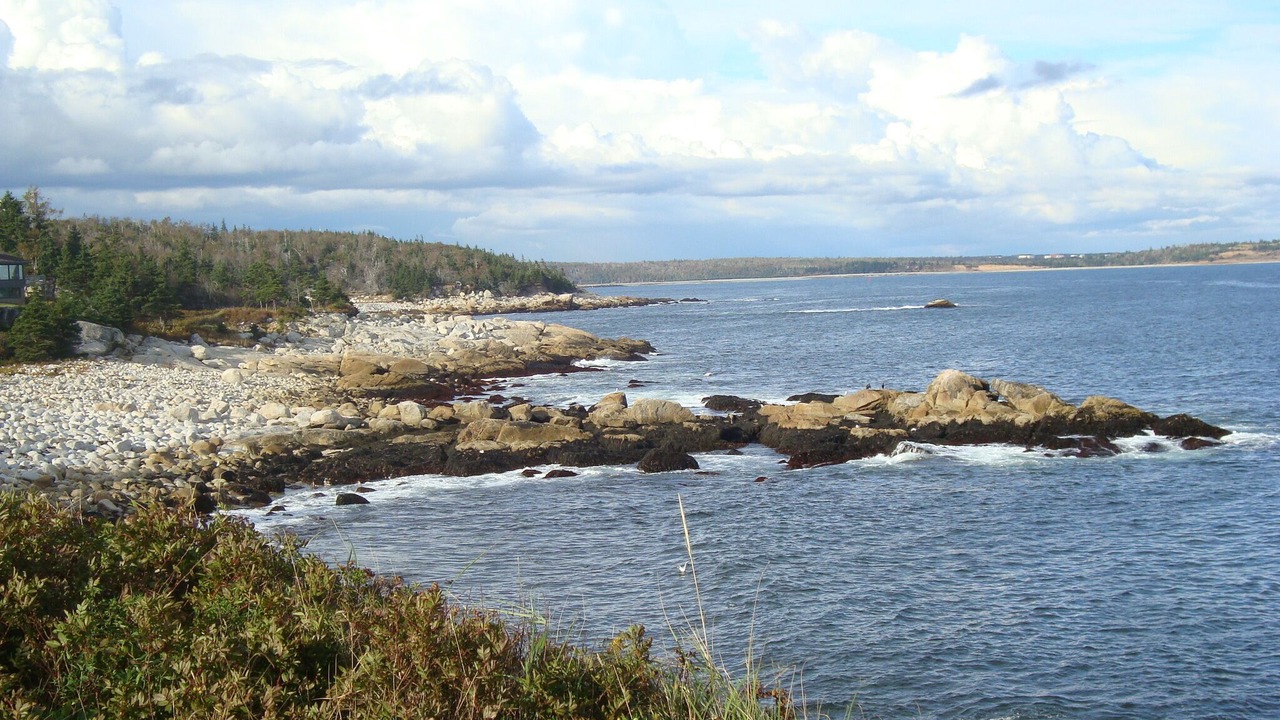 Photo of Others in Herring Cove