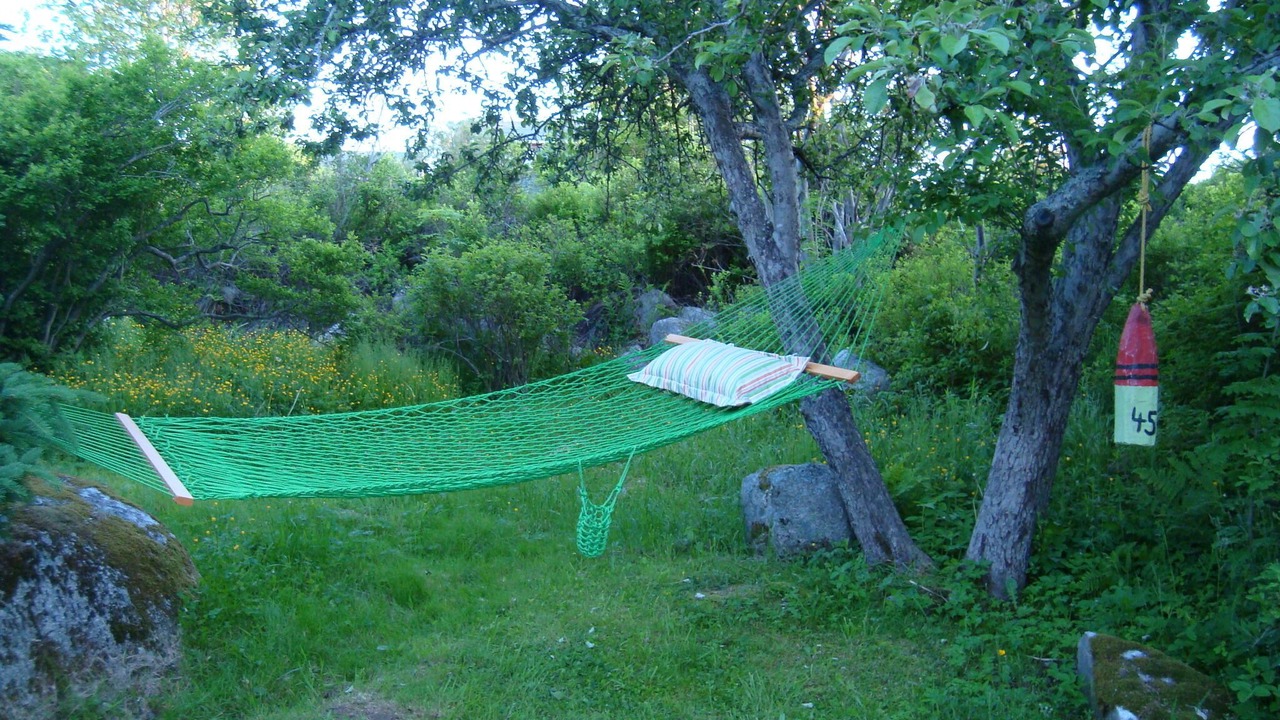 Photo of Others in Herring Cove