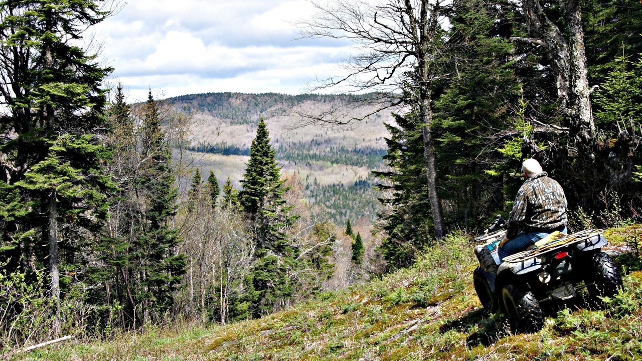 Photo of Outdoor in Deka Lake