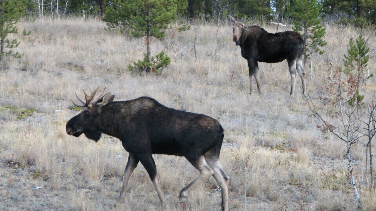Photo of Outdoor in Deka Lake