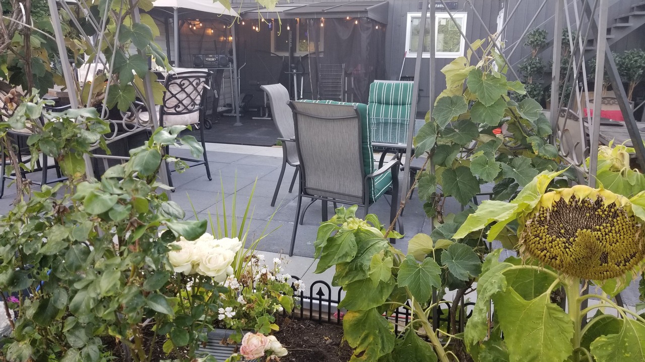 Photo of Outdoor in Delta