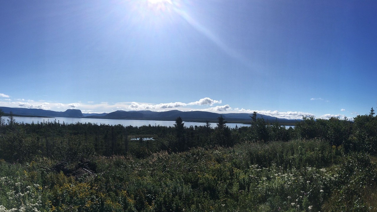 Photo of Outdoor in Portland Creek