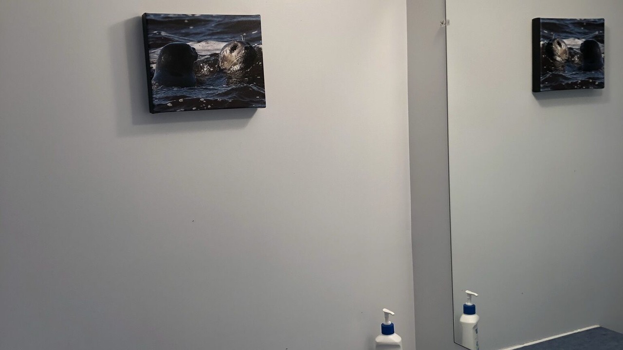 Photo of Bathroom in Malagash