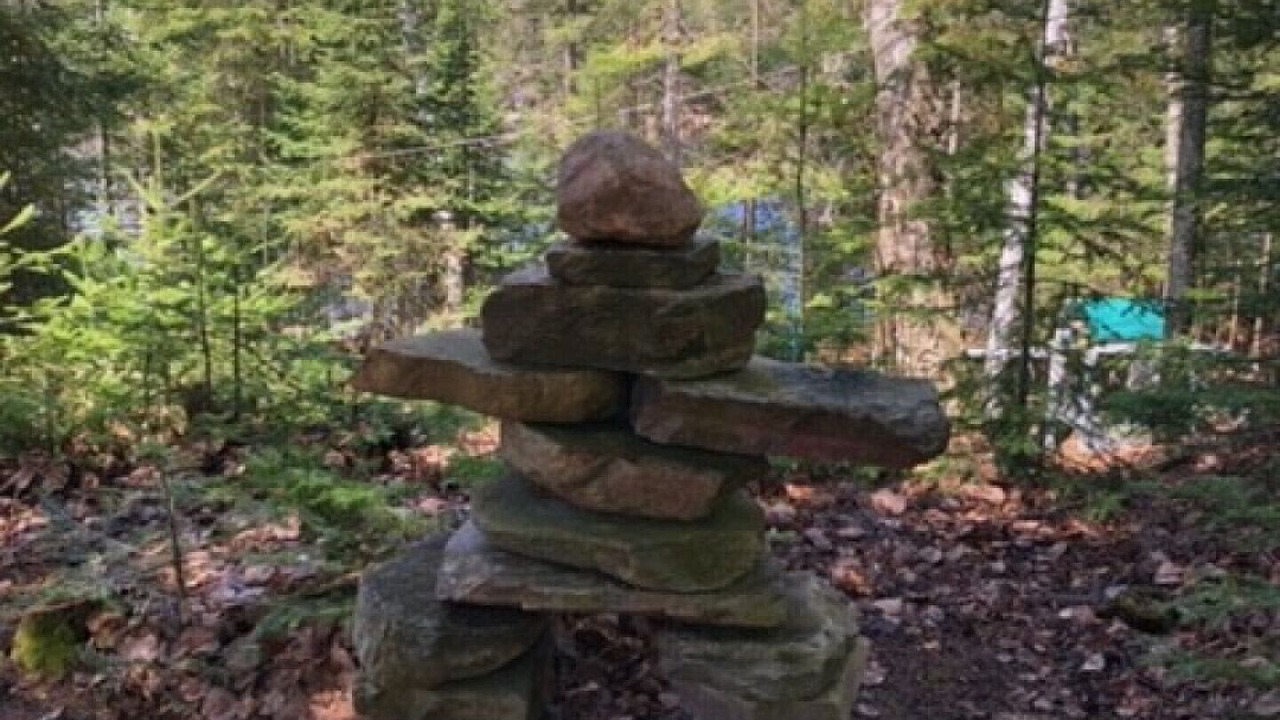 Photo of Outdoor in Algonquin Highlands
