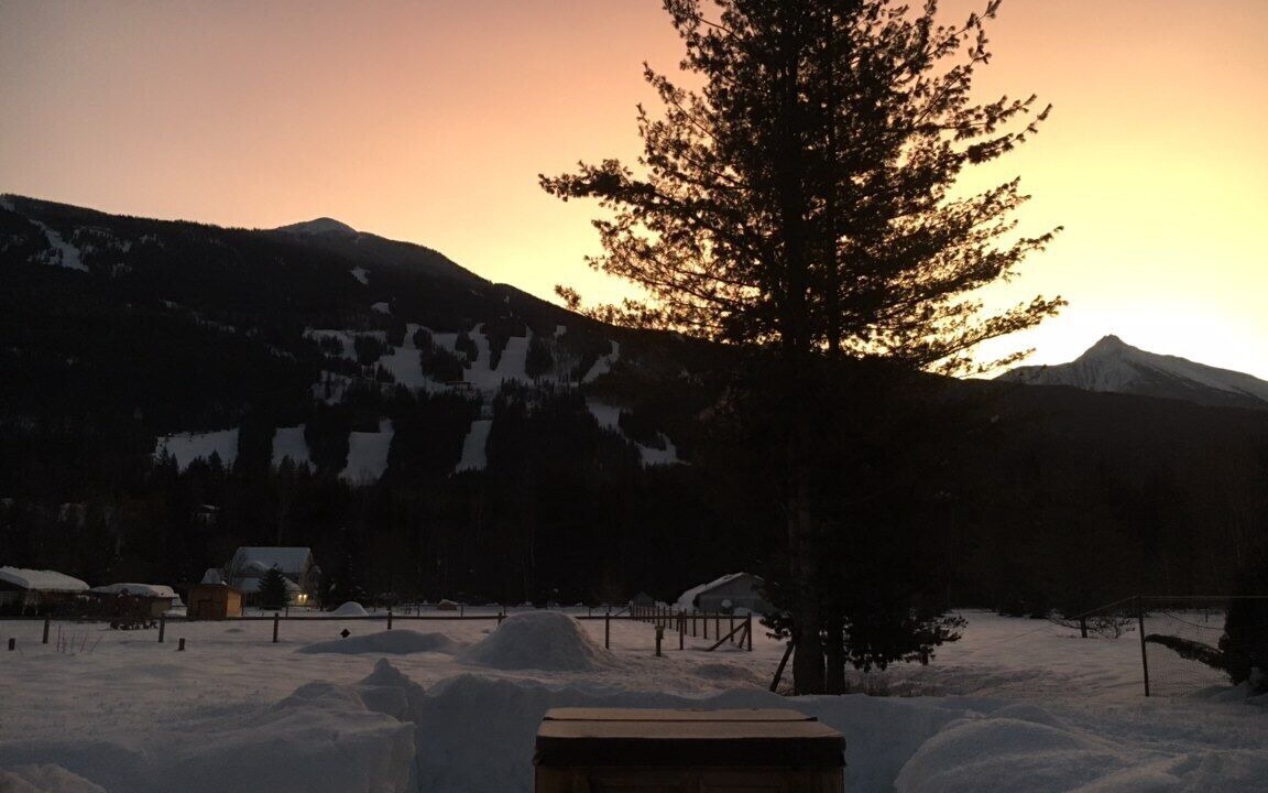 Photo of Others in Revelstoke