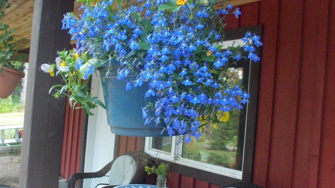 Photo of Patio Balcony in Quathiaski Cove