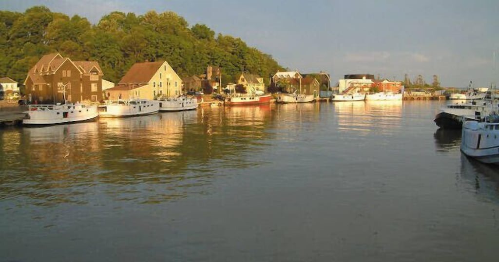 Photo of Others in Port Stanley