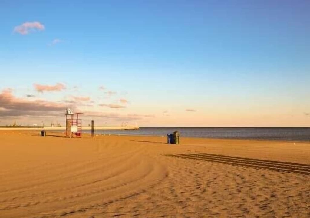 Photo of Others in Port Stanley