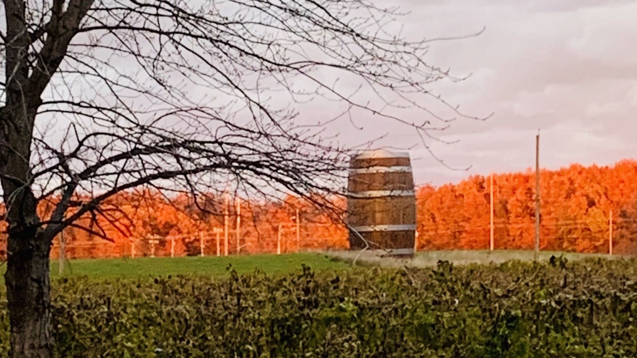 Photo of Outdoor in Niagara-on-the-Lake