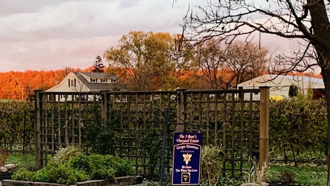 Photo of Outdoor in Niagara-on-the-Lake