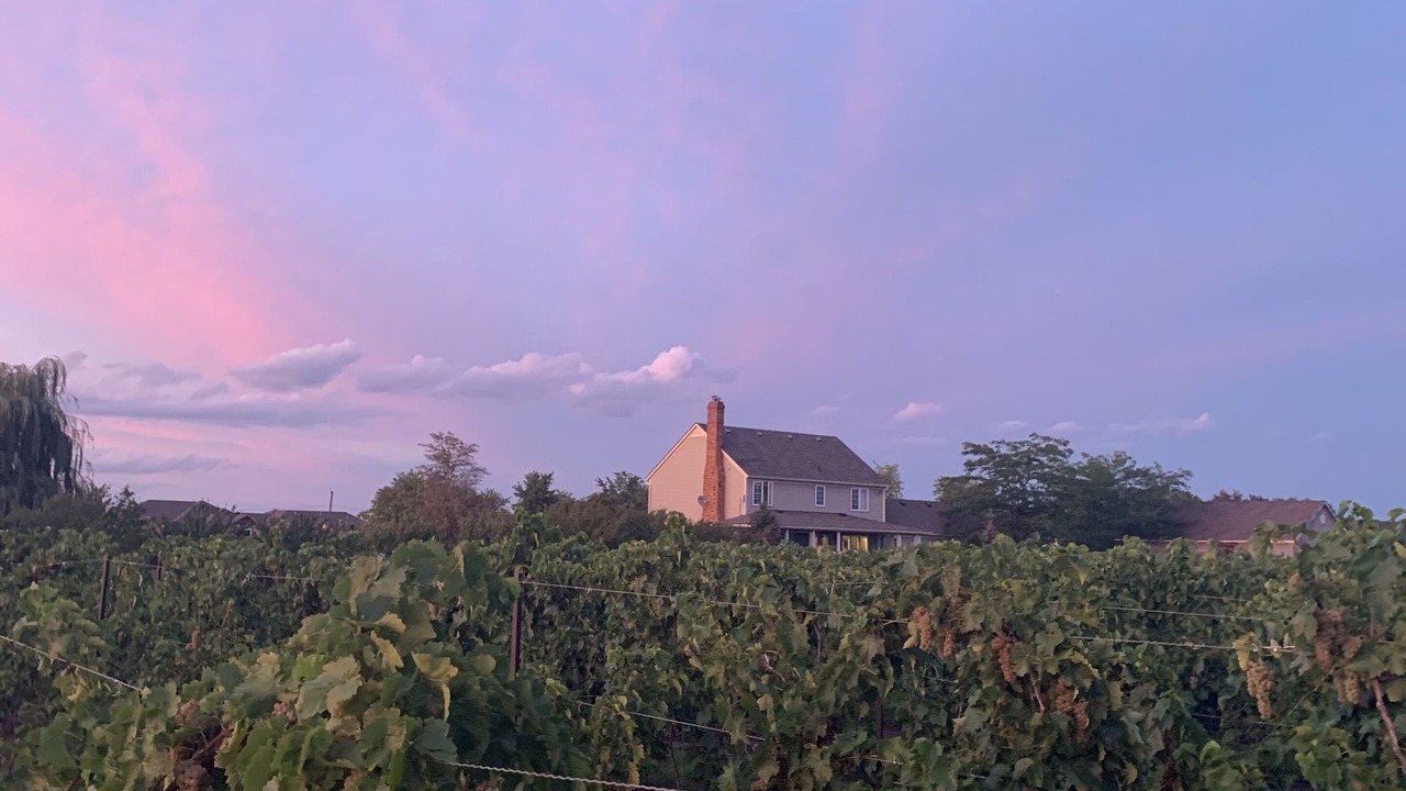 Photo of Others in Niagara-on-the-Lake