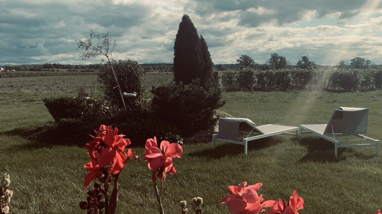 Photo of Others in Niagara-on-the-Lake
