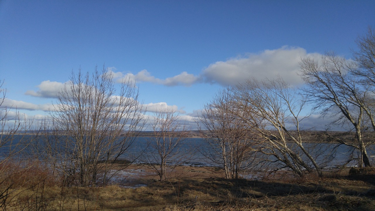 Photo of Outdoor in Digby