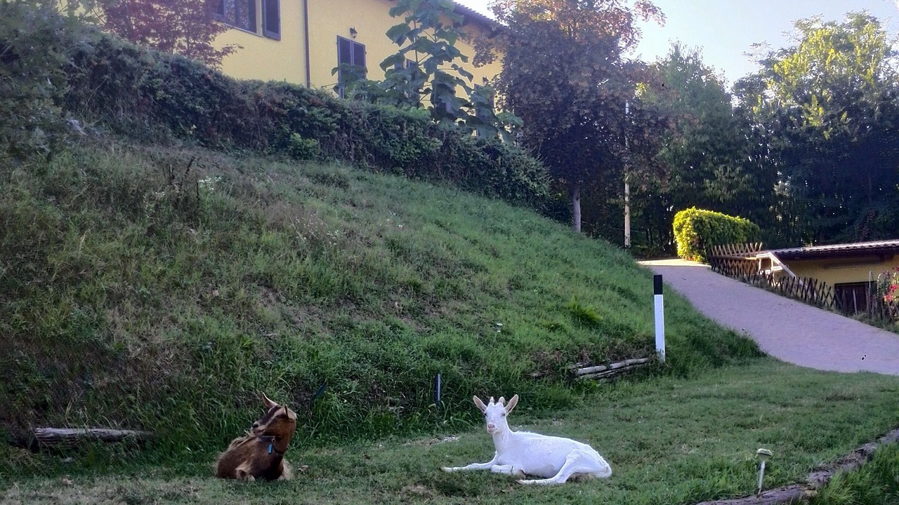 Photo of Outdoor in Nizza Monferrato