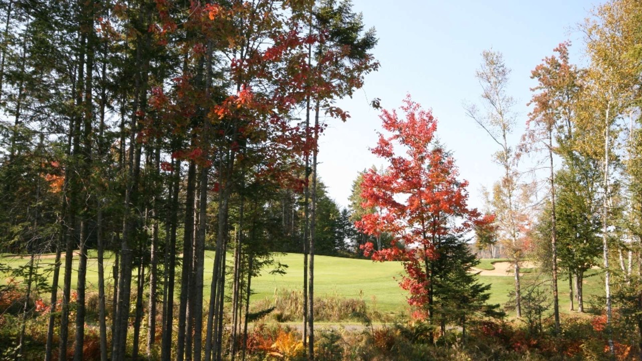 Photo of Others in Mont-Tremblant