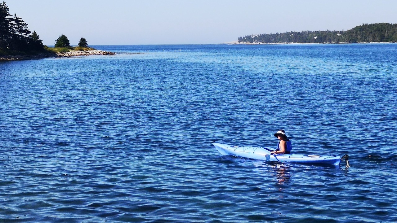 Photo of Others in Prospect Bay