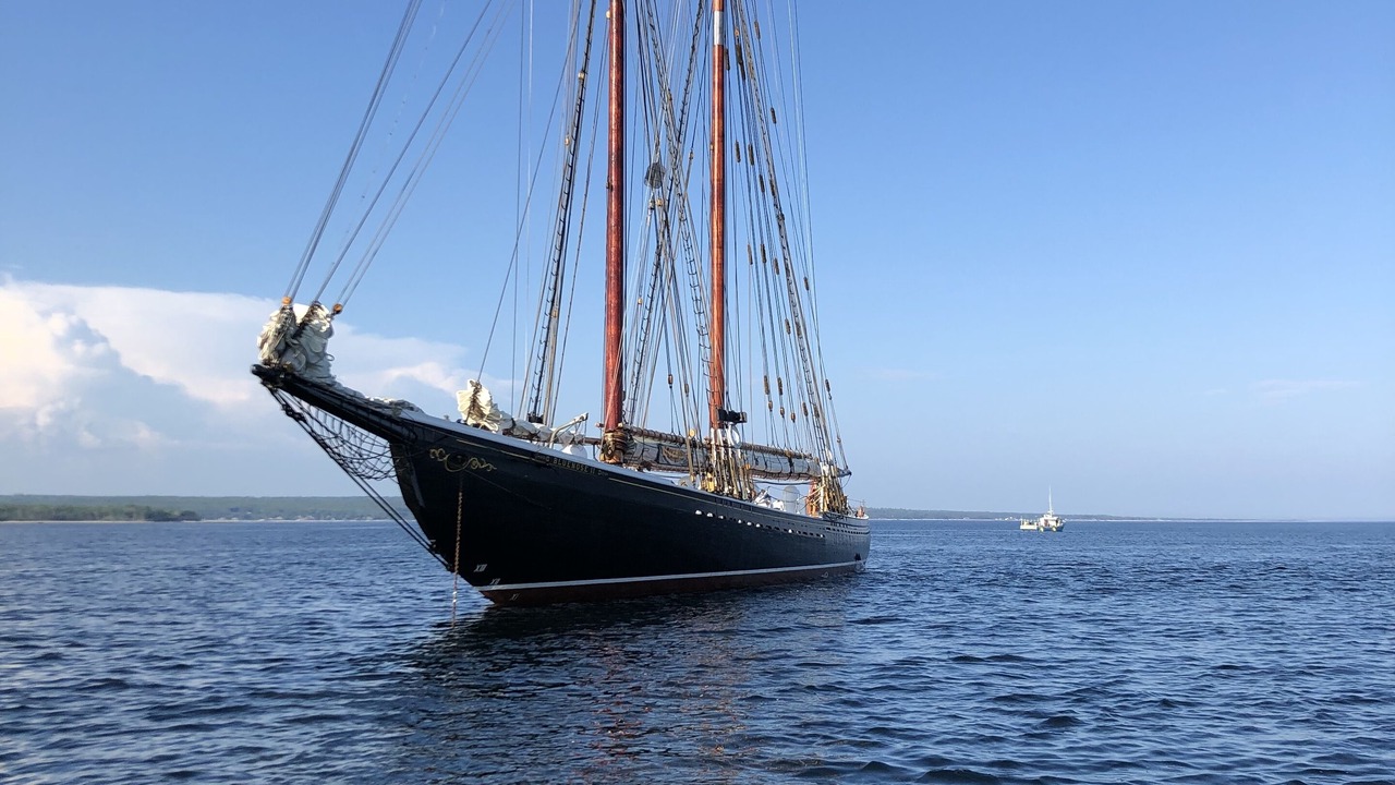 Photo of Others in Port Mouton