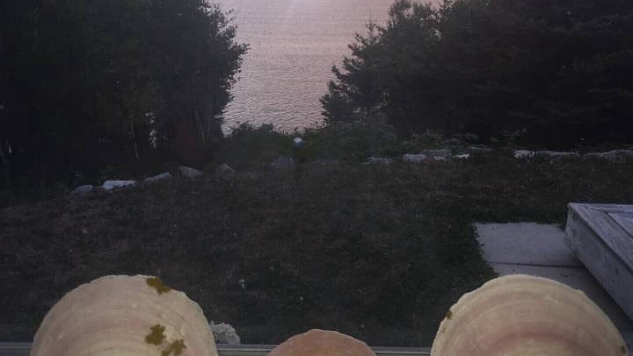 Photo of Others in Port Mouton