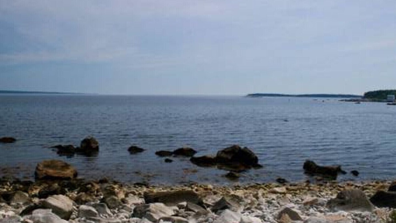 Photo of Others in Port Mouton