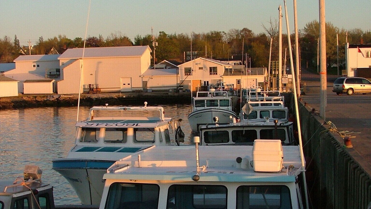 Photo of Others in Wallace