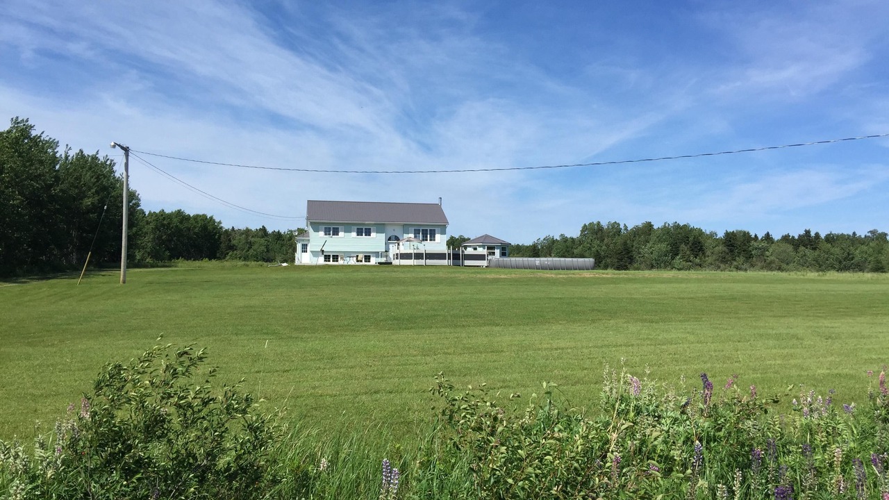 Photo of Outdoor in Wallace