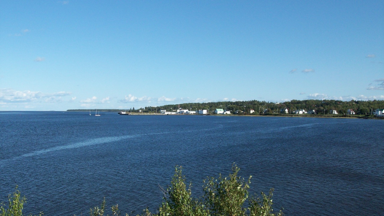 Photo of Others in Wallace
