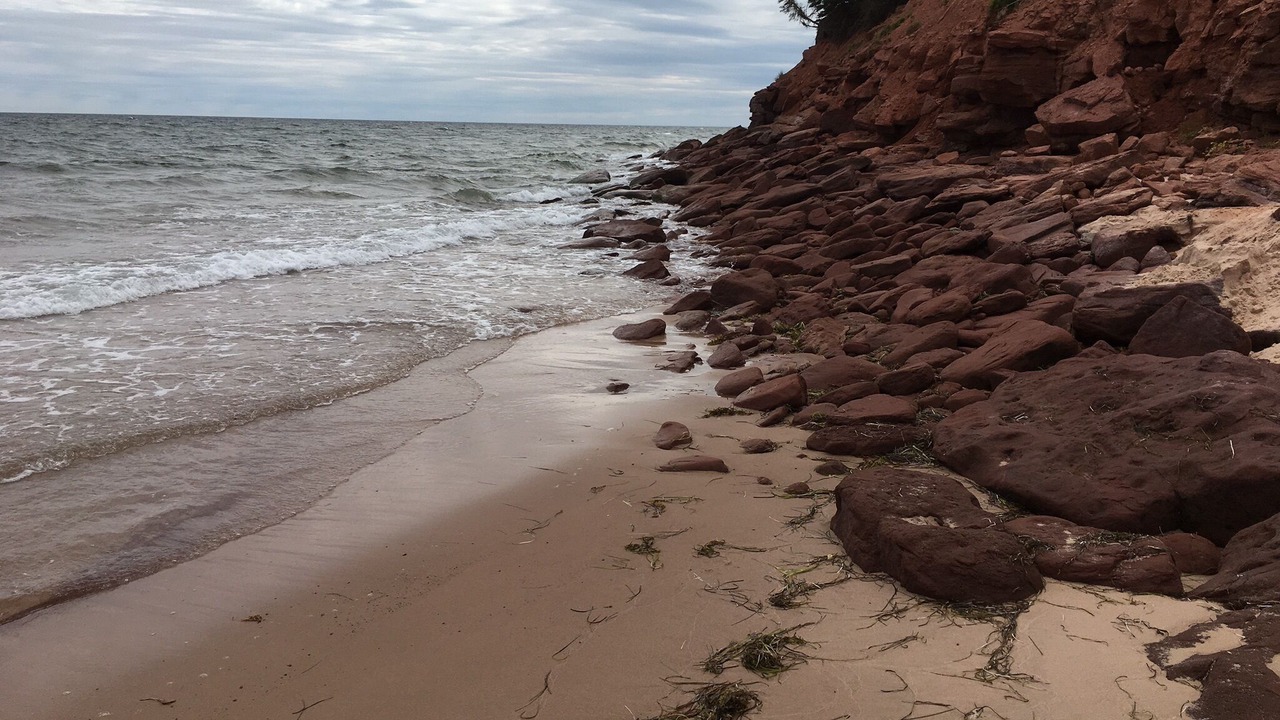 Photo of Others in Red Point