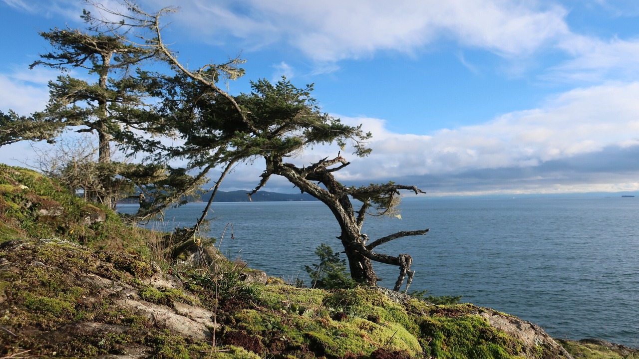 Photo of Others in Otter Point