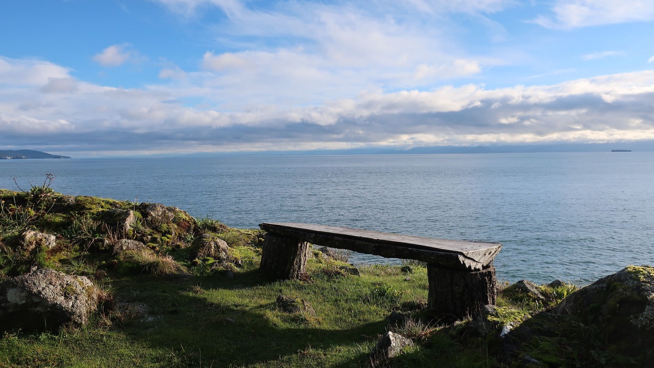 Photo of Others in Otter Point