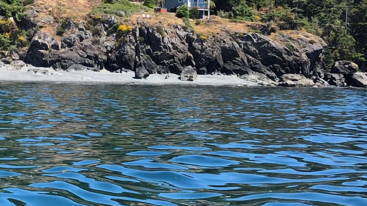 Photo of Others in Otter Point