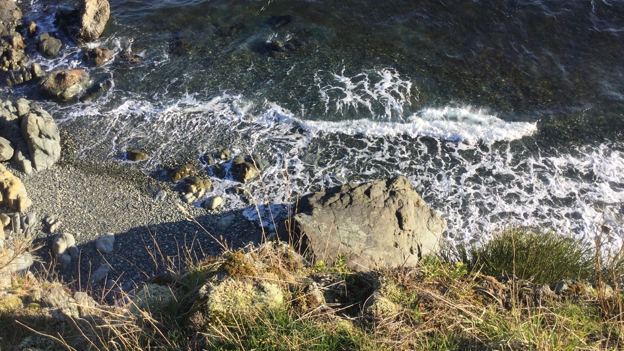 Photo of Others in Otter Point