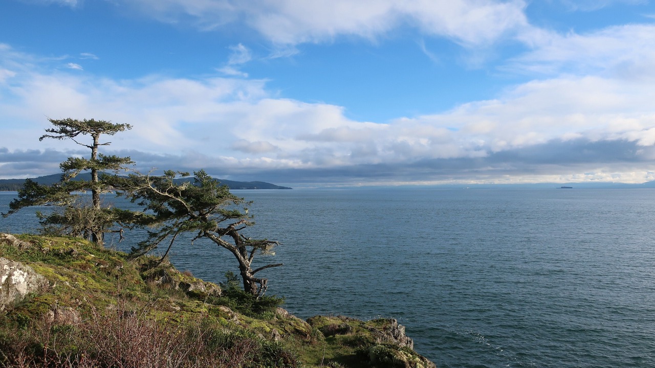 Photo of Others in Otter Point