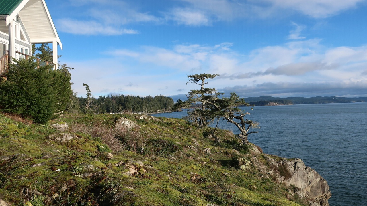 Photo of Others in Otter Point