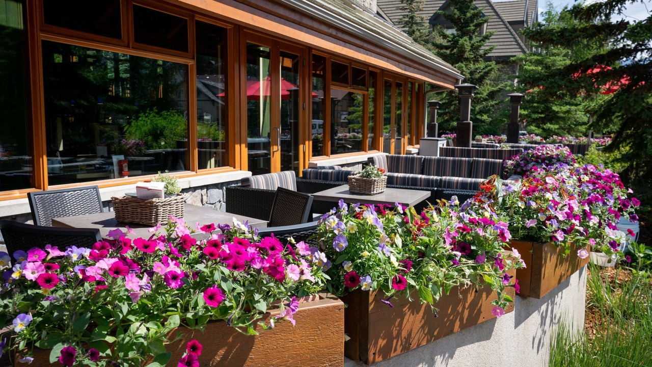 Photo of Others in Banff