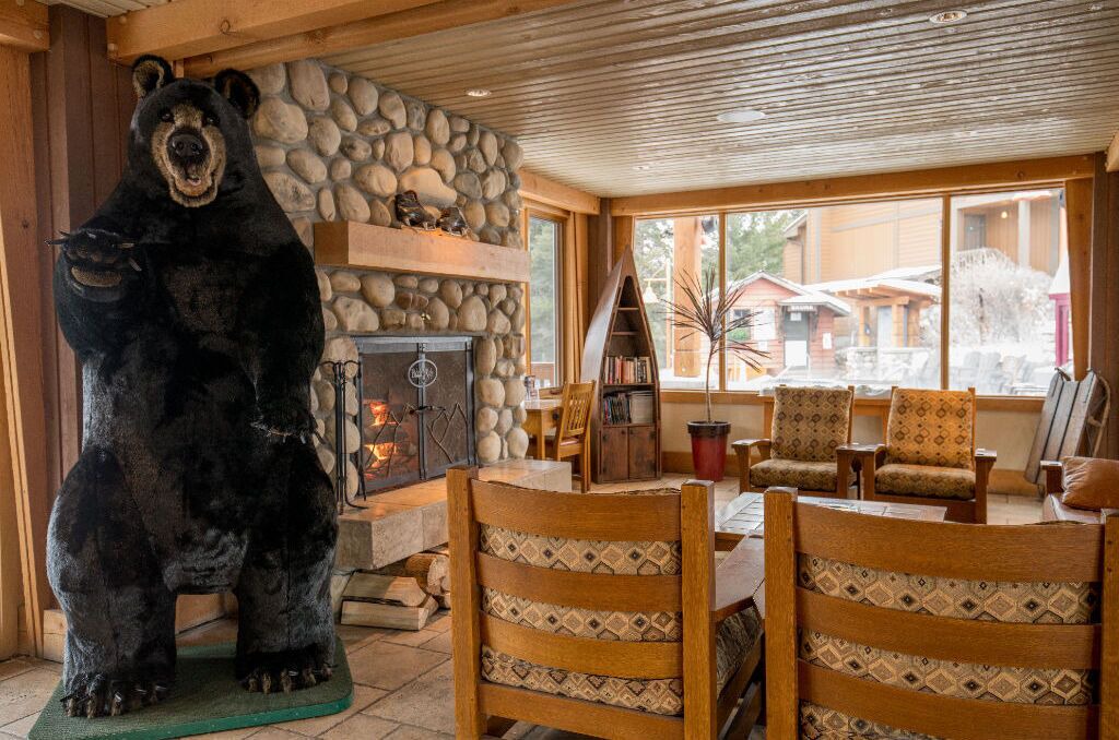 Photo of Livingroom in Banff