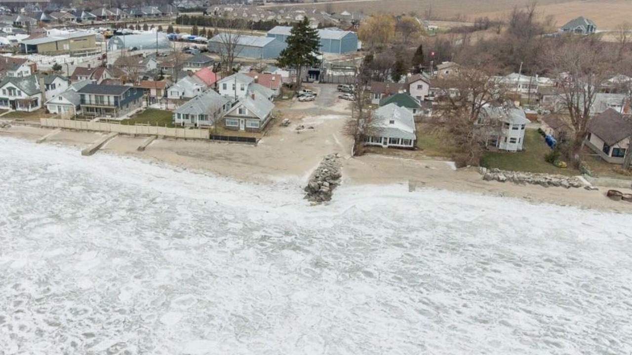 Photo of Others in Kingsville