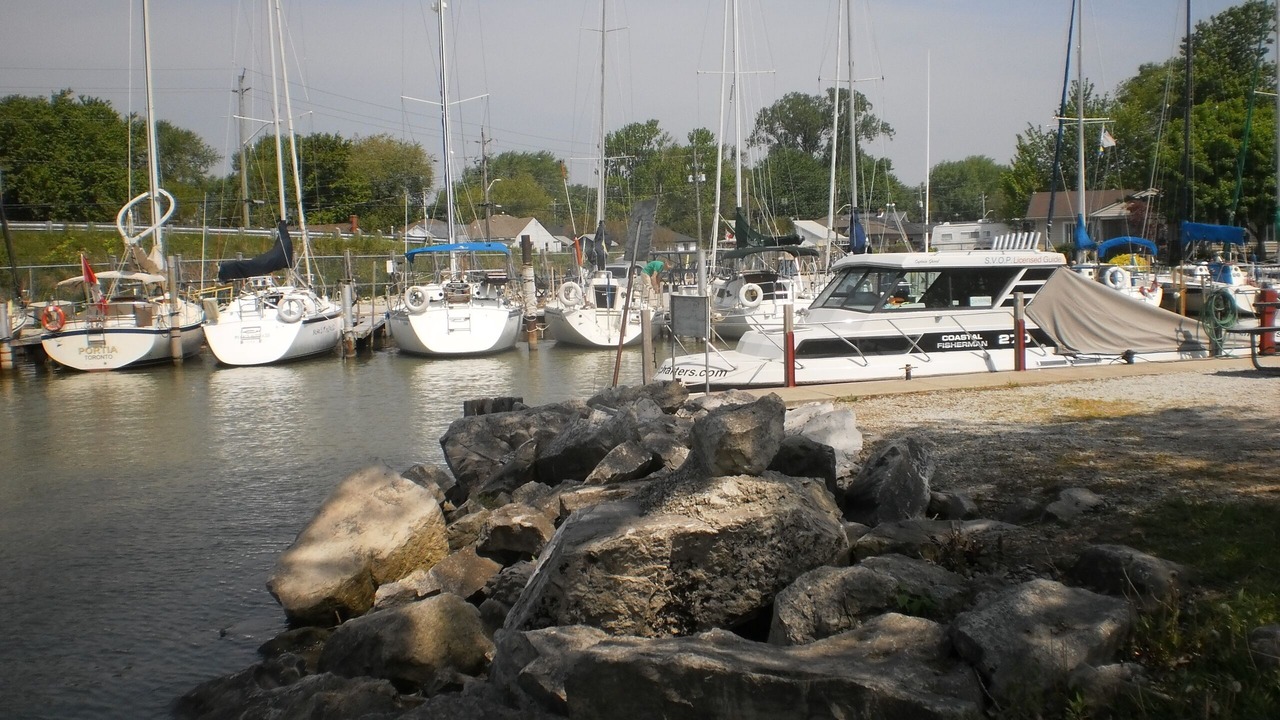 Photo of Others in Kingsville